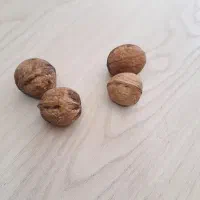 گردو وبادام