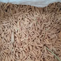 5کیسه شالی دم سیاه
