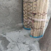 دو عدد چیت