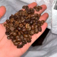 انواع میکس قهوه