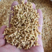 فروش انواع دان مرغی به قیمت کارخانه