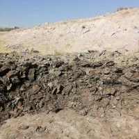 کود گوسفندی|خدمات باغبانی و درختکاری|قزوین, |دیوار