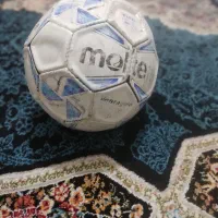 توپ چمنی