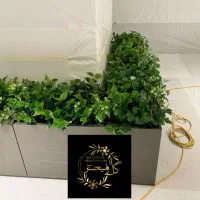 کاج مطبق*ایده برتر گل آرایی*برگ انجیری ابلق|گل مصنوعی|تهران, بازار|دیوار