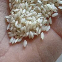 عنبربوخالص وبشرط