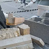 کبوتر پرشی|پرنده|اصفهان, کساره|دیوار