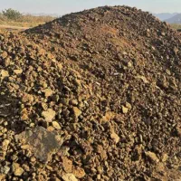 فروش کود گاوی خشک  و رطوبت دار|خدمات باغبانی و درختکاری|زرقان, |دیوار