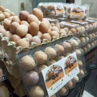 رسمی|خوردنی و آشامیدنی|مشهد, حرم مطهر رضوی|دیوار