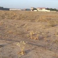 باغ ویلازمین۵۰۰متری ملکی کلاکوب گنبدواز لک لک|فروش زمین و ملک کلنگی|مشهد, نوچاه|دیوار