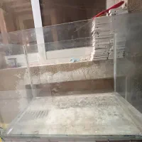 شیشه آکواریوم