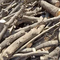 چوب درخت نارنج