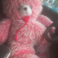 عروسک|اسباب‌‌بازی|میاندوآب, |دیوار