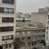 50-متر-خوش-نقشه