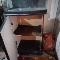 اکواریوم