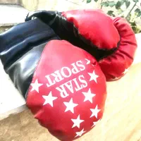 دستکش بوکس Star sport