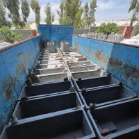 گلدان بتنی|گل و گیاه طبیعی|شیراز, بعثت|دیوار