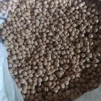 نخود‌تمیز‌ودرشت