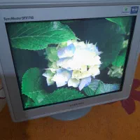 مانیتور سامسونگ سالم