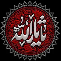 زره تعذیه خوانی ریز بافت