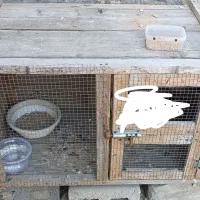 قفس چوبی محکم