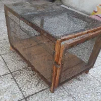 باهنر|حیوانات مزرعه|اهواز, کوی باهنر|دیوار