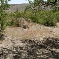 زمین کشاورزی و با مجوز دام پروری و مرغ داری|فروش دفتر صنعتی، کشاورزی، تجاری|خوانسار, |دیوار