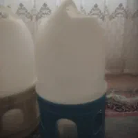 ظرف دان خوری و آب خوری مرغ