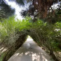 46-متر-شهرکی-فاز2-سند-دار-تک-خواب