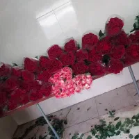 جذب نیرو درگلخانه|استخدام صنعتی، فنی، مهندسی|صحنه, |دیوار