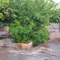 فروش-منزل-400-متری