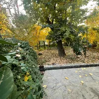 اجاره روزانه/هفتگی/ماهانه|اجارهٔ کوتاه‌مدت آپارتمان و سوئیت|کوهسار (البرز), |دیوار