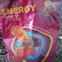 خوراک ماهی شن بستر