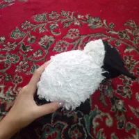 عروسک|اسباب‌‌بازی|گلبهار, شهر جدید گلبهار|دیوار