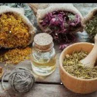 کسب درآمد وآموزش طب سنتی
