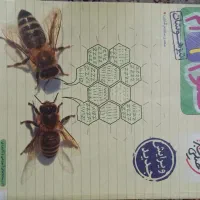 کتاب خیلی سبز علوم نهم