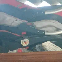 کریر سالم دوتا