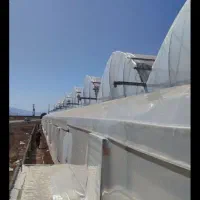 ساخت گلخانع در رودان|خدمات پیشه و مهارت|رودان, |دیوار