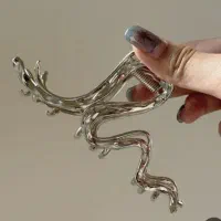 تنوع کلیپس مجلسی