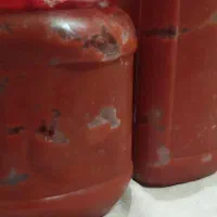 رب خانگی