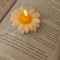 گیفت شمع بابونه|صنایع دستی و سایر لوازم تزئینی|شیراز, باغ تخت|دیوار