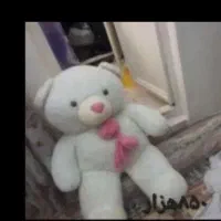 عروسک خرس نو موتور شارژی خراب