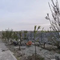 باغچه-باغستان-مروارید-سندتکبرگ