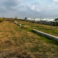 پلاکهای شهرکی اقساط طولانی بدون بهره/نوارساحلی