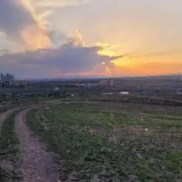 باغ انگور کنار سرد خانه عسگری