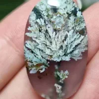 سنگ شجر با ارزش