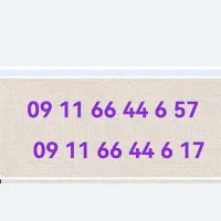 خط رند دائمی سیم کارت روند 17 6 44 66 11 09