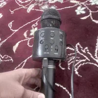 میکرفون سالم