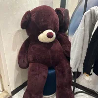 عروسک در حد نو