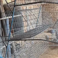 قفس مرغ منبری