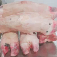 کوی معین زاده|خوردنی و آشامیدنی|اهواز, معین زاده|دیوار